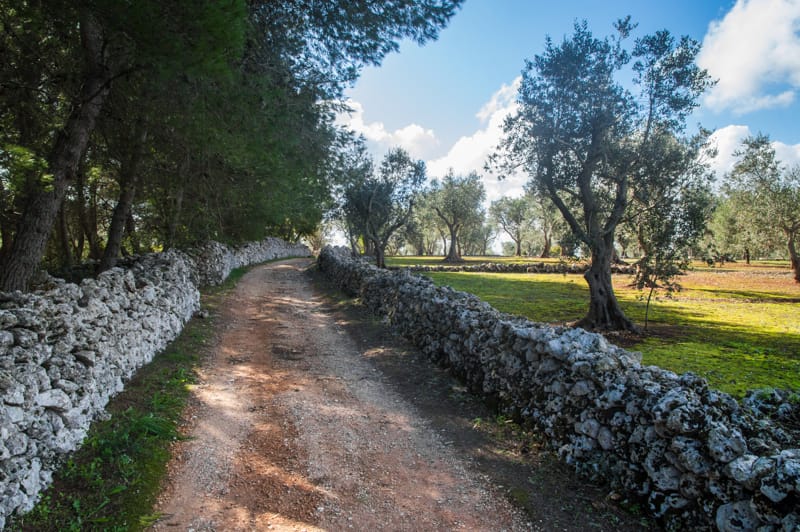 capo di leuca campagne