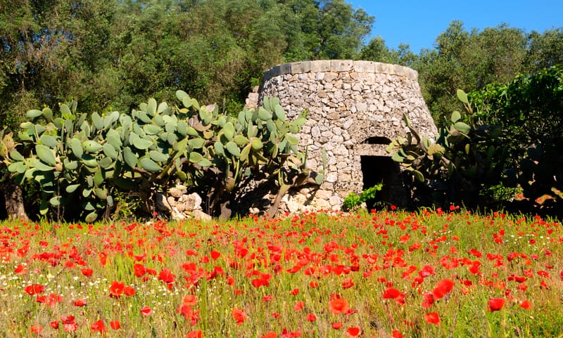 salento